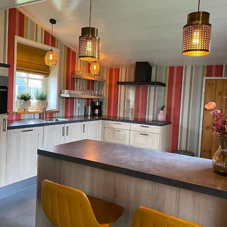 Villa Beautiful With Bath, Close To The Wadden Sea Hippolytushoef