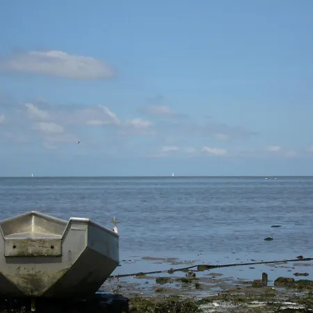 Pet-friendly Coastal فيلة