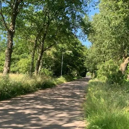 Pet-friendly Coastal فيلة