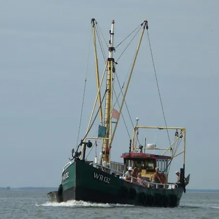 Pet-friendly Coastal Villa