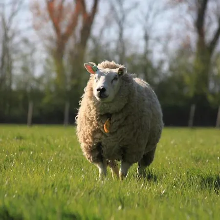 Pet-friendly Coastal Villa